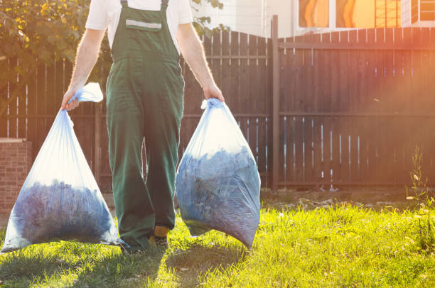 Best Property Management Cleanouts  in Dexter, MI